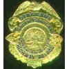 SOUTH CAROLINA HIGHWAY PTRL SGT BADGE PIN